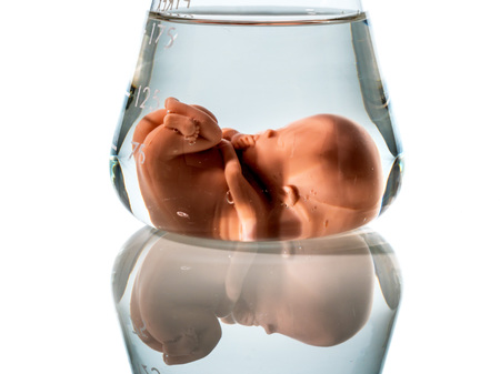 Modell eines Embryos in einem Laborglas. Symbolfoto für Schwangerschaft durch künstliche Befruchtung. Abtreibung und Genmanipulation